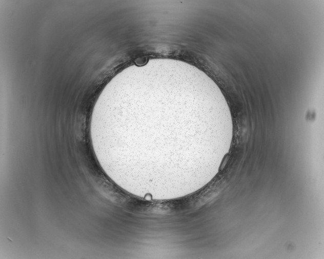 X0000090410656200708101920
