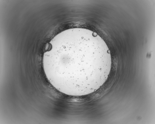 X0000090410657200708101920