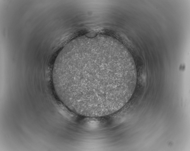 X0000090410658200708101920