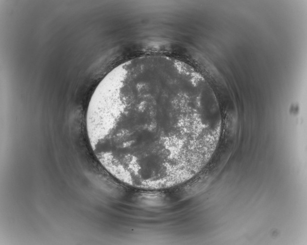 X0000090410659200708101921