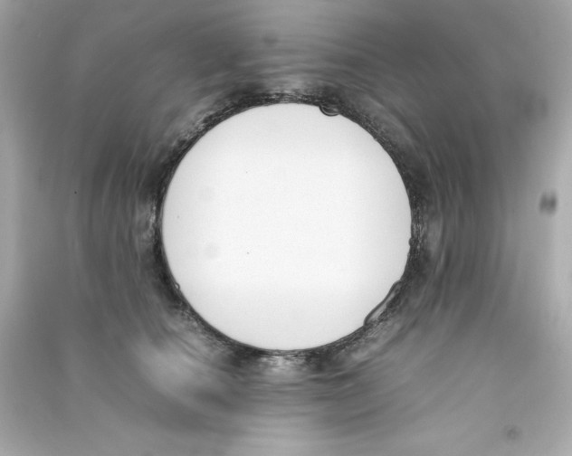 X0000090410660200708101921