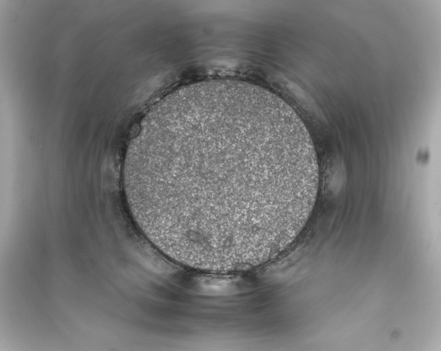 X0000090410661200708101921