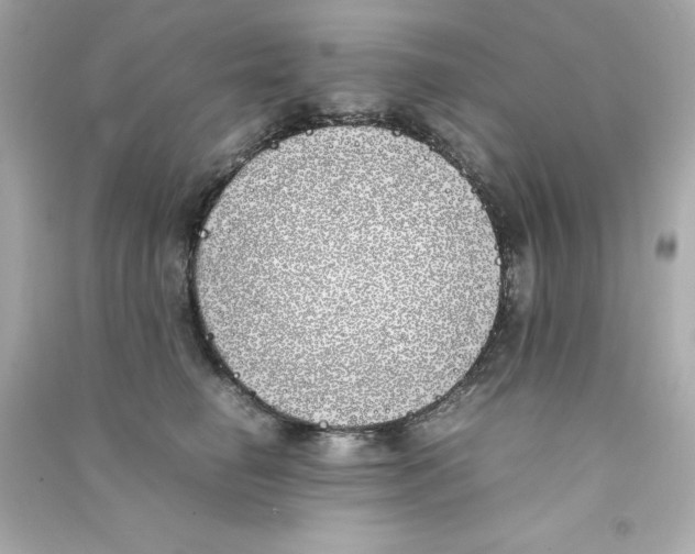 X0000090410662200708101921