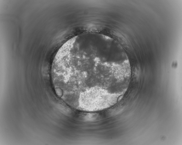 X0000090410663200708101921