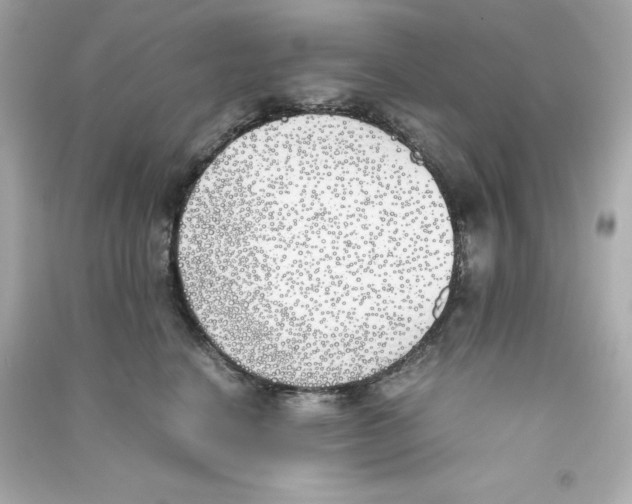 X0000090410664200708101921