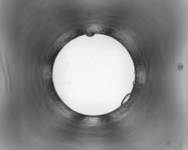 X0000090410665200708101921