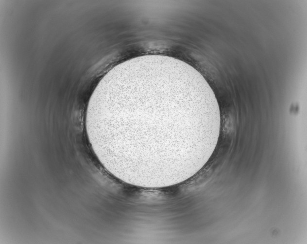 X0000090410666200708101921