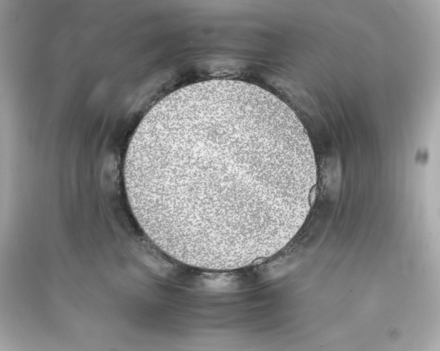 X0000090410667200708101921