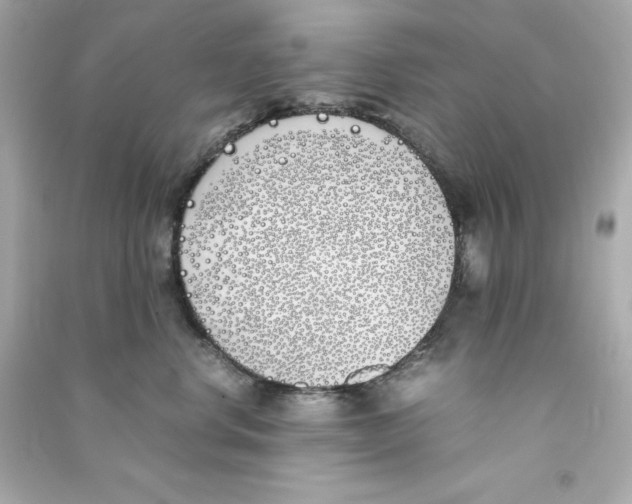X0000090410668200708101921