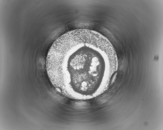 X0000090410669200708101921