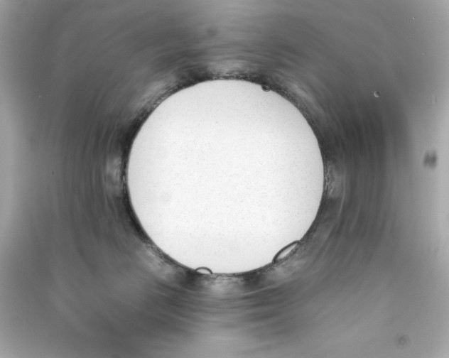 X0000090410670200708101921