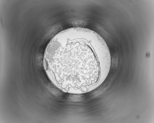 X0000090410671200708101921
