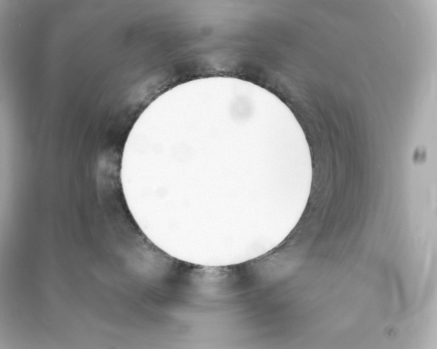 X0000090410672200708101921