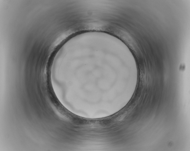 X0000090410674200708101920