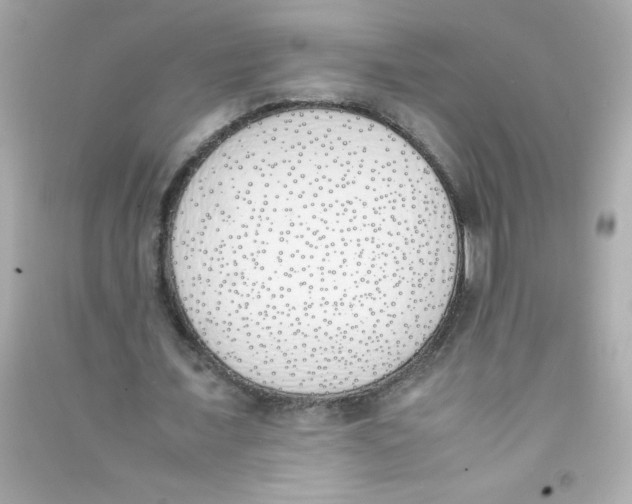 X0000090410675200708101920