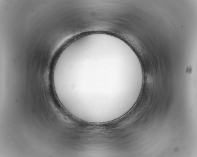 X0000090410676200708101920