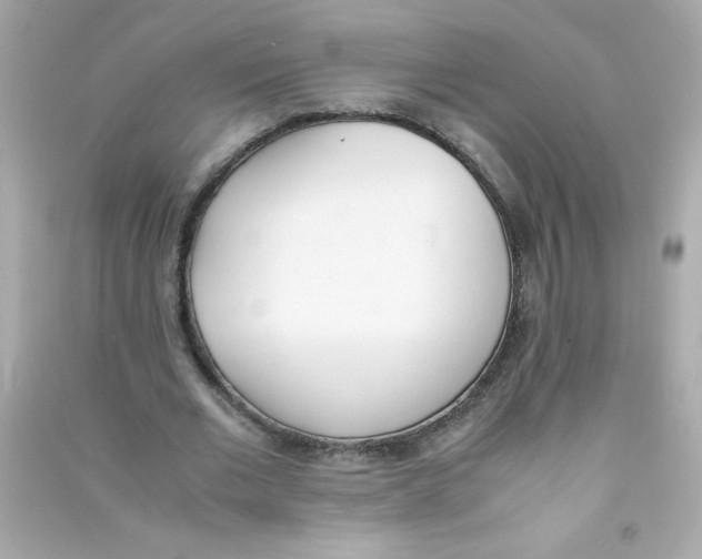 X0000090410677200708101920