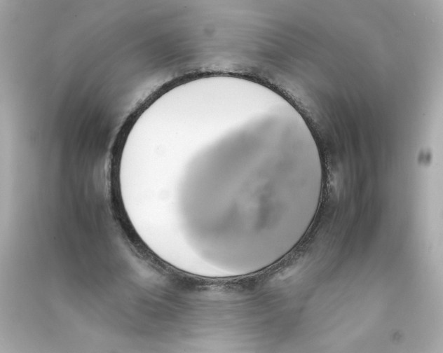 X0000090410678200708101920