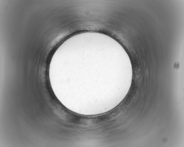 X0000090410679200708101920