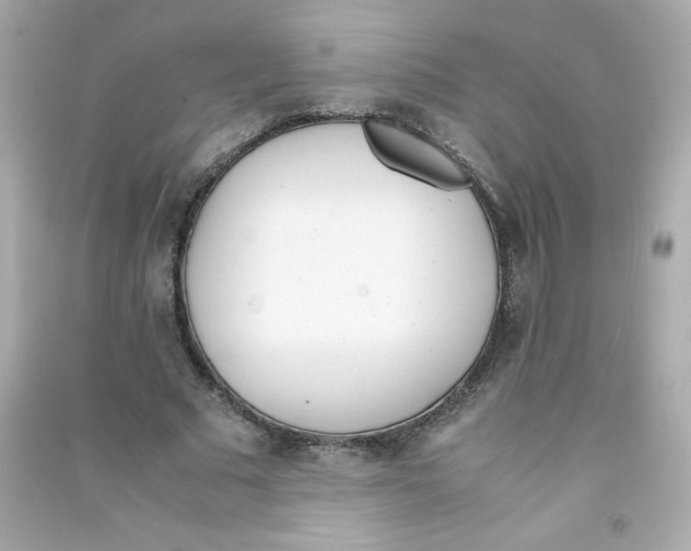 X0000090410681200708101920