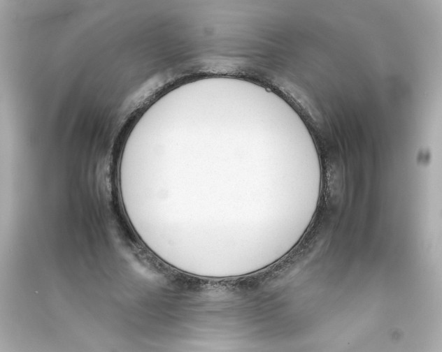 X0000090410682200708101920