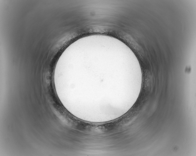 X0000090410683200708101920