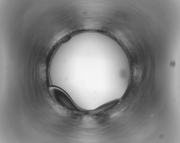 X0000090410684200708101920
