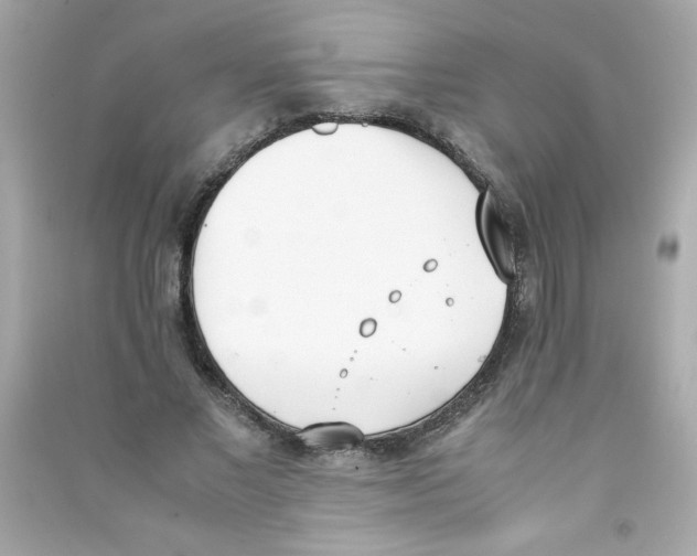 X0000090410685200708101920