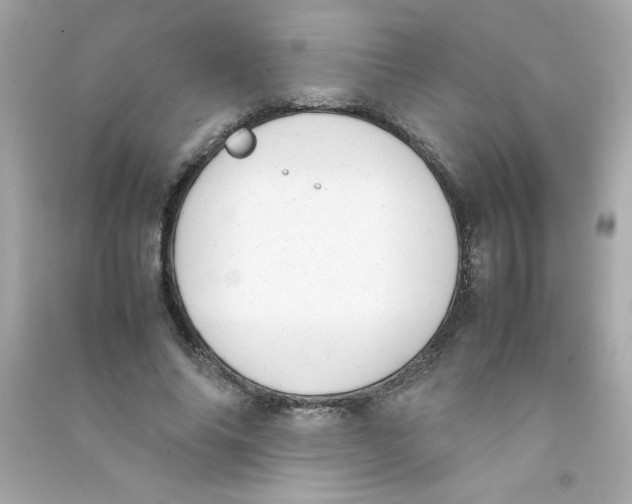 X0000090410686200708101920
