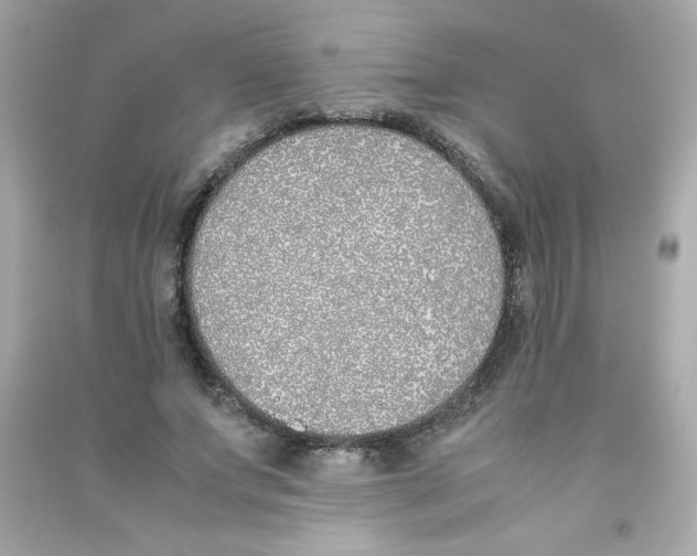 X0000090410687200708101920