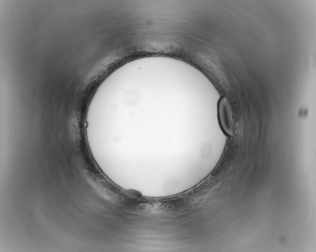 X0000090410688200708101920