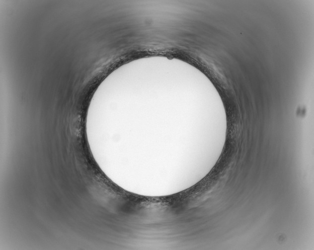 X0000090410689200708101920