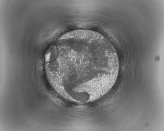 X0000090410691200708101920