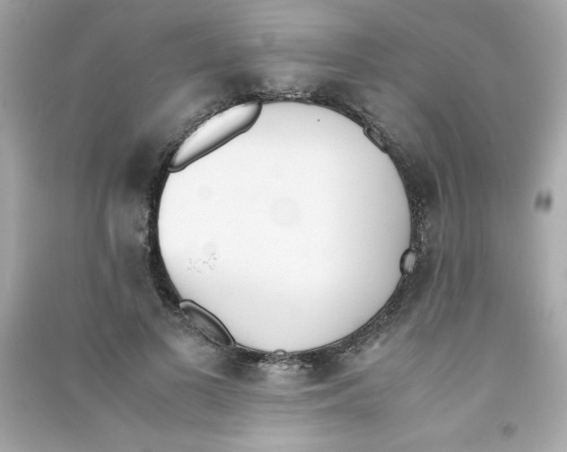 X0000090410693200708101920