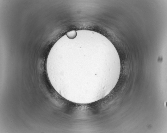 X0000090410695200708101920