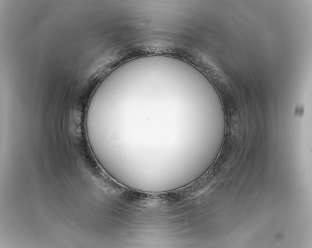 X0000090410696200708101920