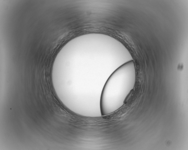 X0000090410697200708101920