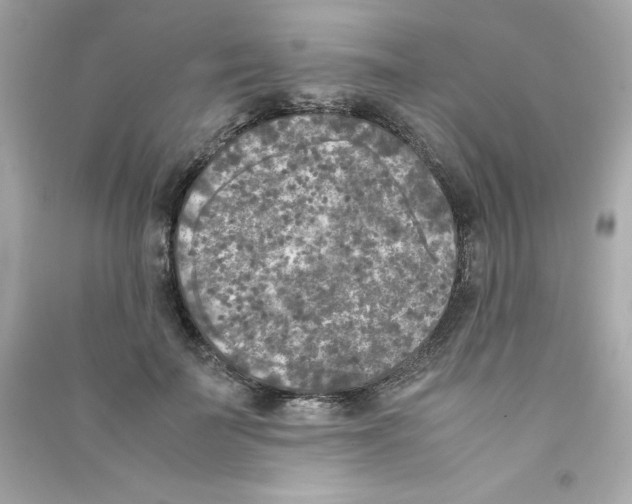 X0000090410699200708101920