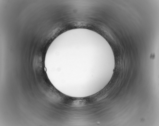 X0000090410700200708101920