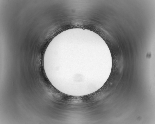 X0000090410702200708101920