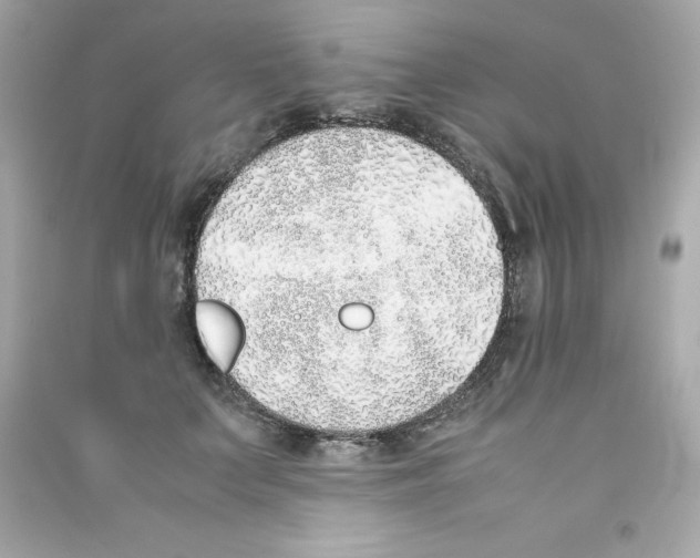X0000090410703200708101920