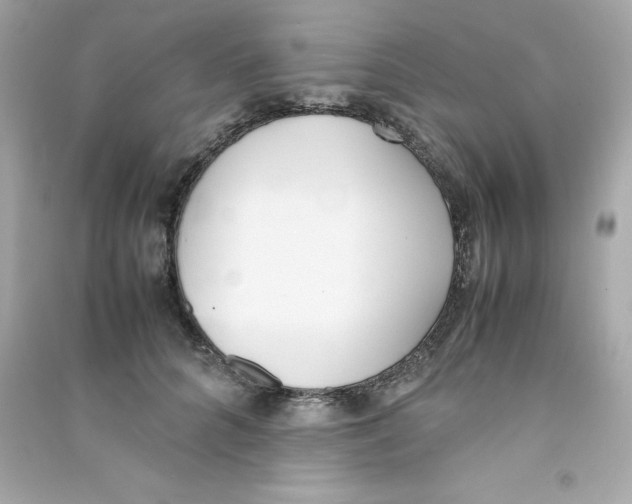 X0000090410704200708101920