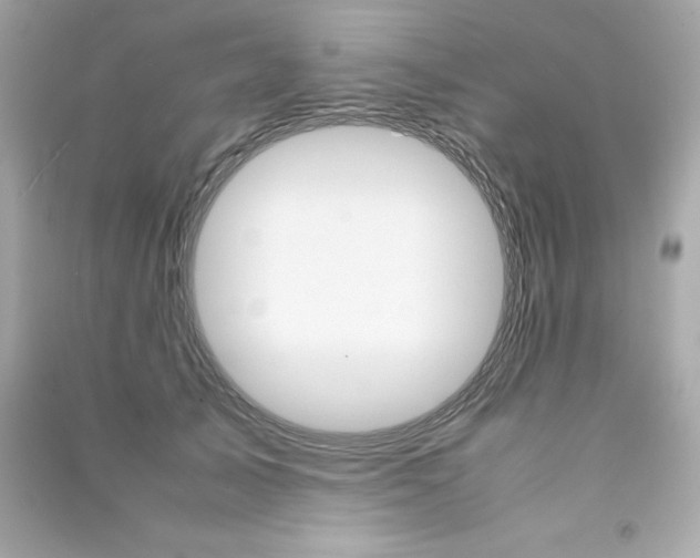 X0000090410705200708101920