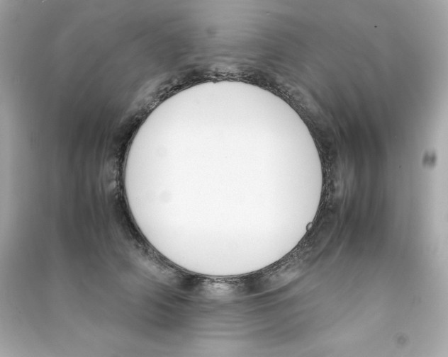X0000090410706200708101920