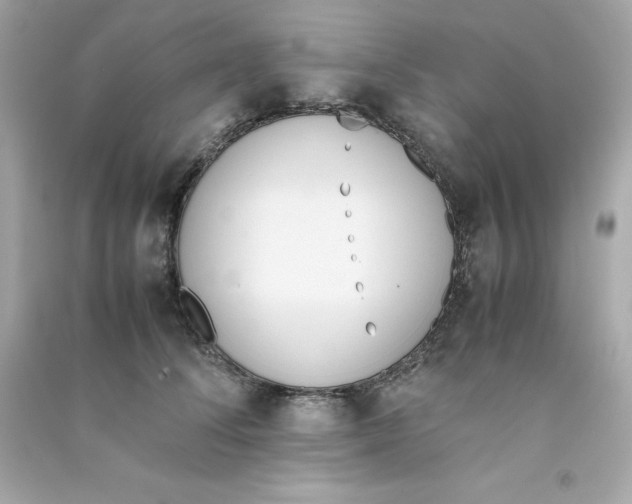X0000090410708200708101920