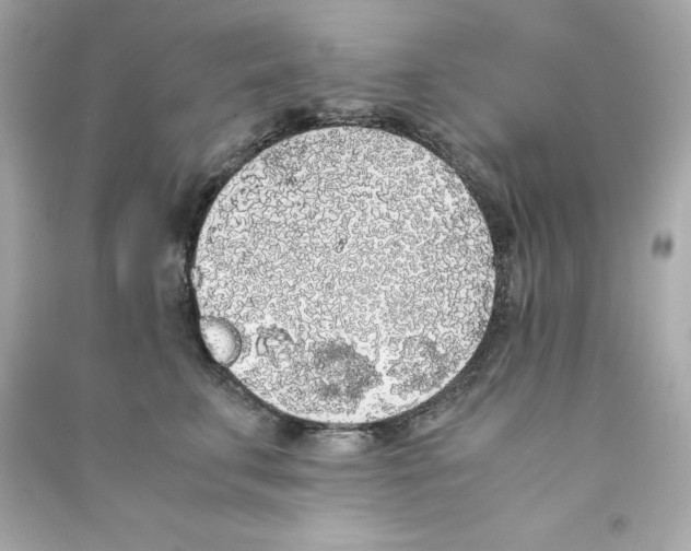 X0000090410711200708101920