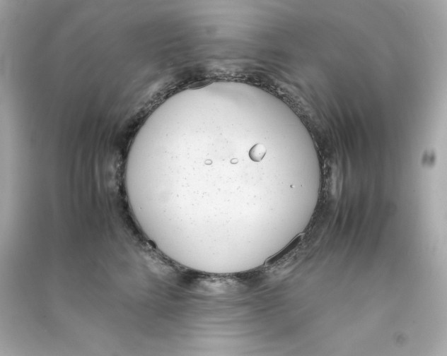 X0000090410712200708101919