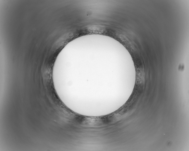 X0000090410713200708101919