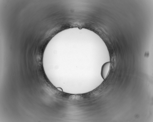 X0000090410714200708101919