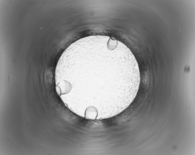X0000090410715200708101919